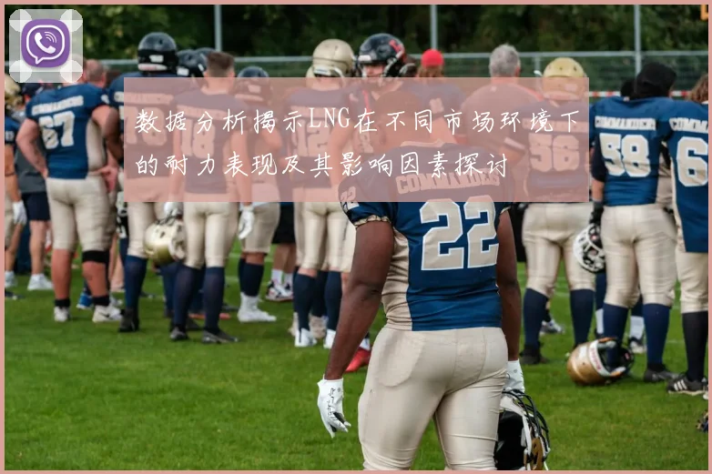 数据分析揭示LNG在不同市场环境下的耐力表现及其影响因素探讨