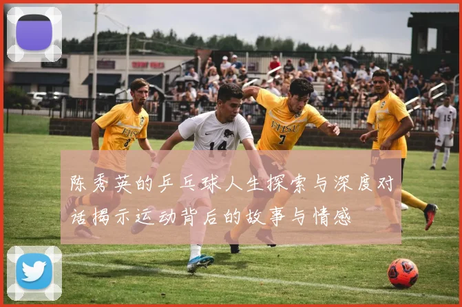 陈秀英的乒乓球人生探索与深度对话揭示运动背后的故事与情感